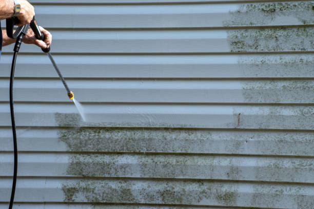 Best Same-Day Junk Removal Services  in Gallatin, MO