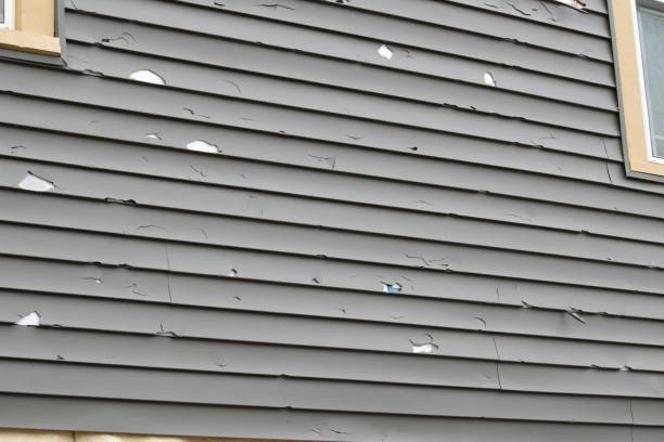 Best Property Management Cleanouts  in Gallatin, MO