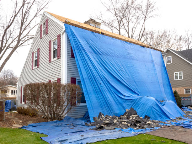 Best Carpet Removal and Disposal  in Gallatin, MO